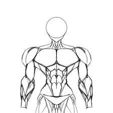 Help, how do you draw oppai on muscular women. : r/TeachMeArtSenpai