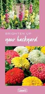 Our online flower shop allows you to choose from a wide variety of flower arrangements. 110 Outdoor Ideas Plants Planting Flowers Flower Garden