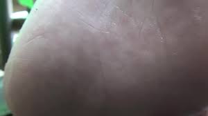 New Futa Content - Fresh Adult Art