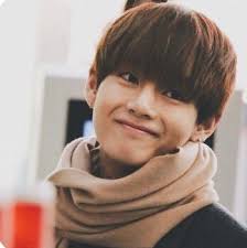 Aesthetic Bio Copy And Paste Amino Aesthetic Bio Thing Army S Amino