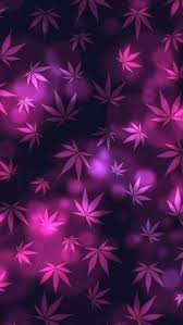 fundos de maconha fundos de maconha