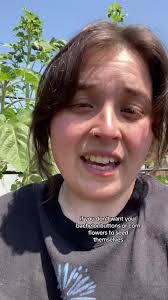 Save tour seeds for next year! #backyardgarden #gardentok #zone9  #flowergarden