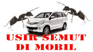 We did not find results for: Bagaimana Untuk Menghilangkan Semut Di Dalam Kereta Rumah Hacks 2021