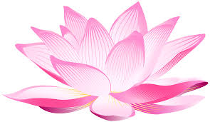 Lotus flower clipart free download! Lotus Flower Transparent Png Novocom Top
