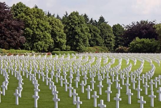 Disposal of the Dead: Beyond Burial and Cremation