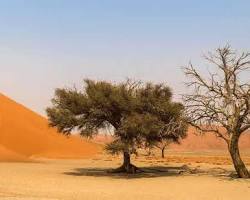 Immagine di Persone che si tengono per mano in un paesaggio desolato