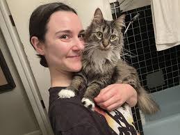 Pet sitting services for cats and dogs available