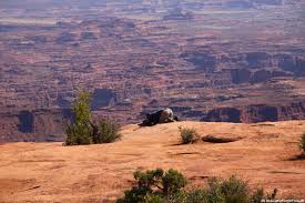 Several viewpoints and trailheads sit along the road. Canyonlands National Park Canyons Und Felsformationen In Utah
