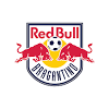 A partir de 2020, o time passa a ter novo nome (red bull bragantino), novo escudo e novo uniforme. Https Encrypted Tbn0 Gstatic Com Images Q Tbn And9gcr Asnvg8ztmgajlgqnstrnwpqh6jhf U82mjryc0pae2ghmdpc Usqp Cau