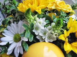 صور ورود 2020 اجمل صور زهور احلى صور ورود جميلة زينه types of roses leaf wallpaper flowers