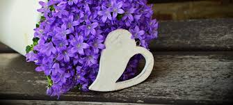 März ist in russland für über 90% der frauen und über 80% der männer ein wichtiger persönlicher feiertag. Last Minute Diy Geschenke Fur Den Frauentag Trendraider Nachhaltige Lifestyle Boxen