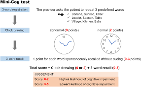 Image result for Mini-Cognitive Assessment Instrument