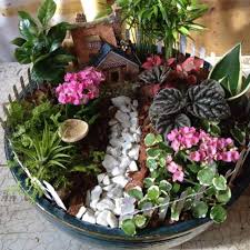 17 Of The Coolest Diy Fairy Garden Ideas For Small Backyards Fairy Garden Diy Indoor Fairy Gardens Fairy Garden Plants