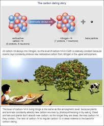 Because carbon is expected to be thoroughly mixed throughout the biosphere, atmosphere, and oceans, living organisms (which continually take in. A Date With Carbon Bernie S Basics Abc Science