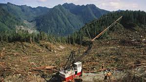 Humans Temperate Deciduous Forest