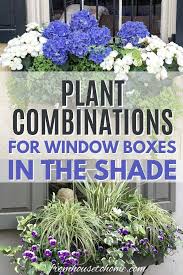 Blue stonewash galvanized window box planter (1) model# 20812. Window Box Flower Combinations Flower Box Ideas Inspired By Charleston Window Boxes Gardening From House To Home
