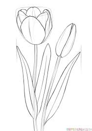 How To Draw A Tulip Step By Step Drawing Tutorials Flower Drawing Tutorials Tulip Drawing Drawing Tutorials For Kids