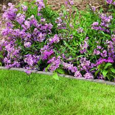 100 landscaping edgers edging hardscapes the. Suncast 35 Flagstone Landscape Edging At Menards