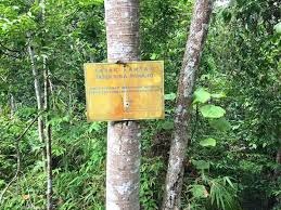 Chini yang terletak di negeri pahang. Hutan Simpan Tapak Ramsar Tasik Bera Dibalak Khabarnya 1 000 Hektar Daripada Hutan Simpan Kekal Hsk Kawasan Tanah Lembab Berkepentingan Antarabangsa Tapak Ramsar Tasik Bera Tasik Semulajadi Terbesar Di Malaysia Sudah