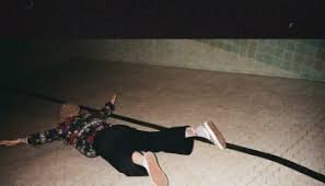 Find me here (flowers for vases / descansos version) 13. Download Album Hayley Williams Flowers For Vases Descansos Naijaforbe