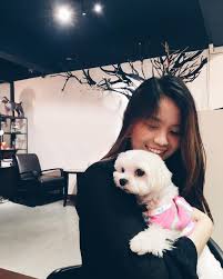 Either way, these pet cafes in klang valley serve both a decent food fare and a place for you to play with their furry friends. 10 Pet Cafes In Malaysia Animal Lovers Must Visit