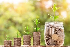 Be sure to turn your money tree each time you water to allow for even growth and leaf development. Grow Your Funds With These Tips The Financial Fairy Tales Blog The Financial Fairy Tales Blog
