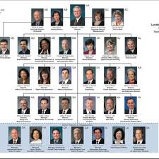 Jsc Organizational Chart Download Scientific Diagram