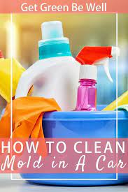 How To Clean Mold In A Car Naturally