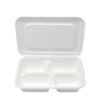 100% biodegradable sugarcane pulp food tray with lid