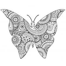 Butterflies Insects Coloring Pages For Adults Tons of free colorful butterfly pictures and caterpillar pictures. butterflies insects coloring pages