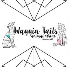Check spelling or type a new query. Waggin Tails Rescue Petrescue