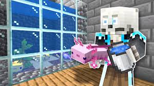 Télécharger des livres par fabien correch date de sortie: Building An Axolotl Aquarium Minecraft 1 17 Update Youtube