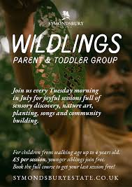 Mayor's Blog- A Big Green Week, plus a Mayor's Civic Day, Plastic and  Litter Free Apple Juicing in the Community Orchard, Embroidered Art and all  topped off by a win at Bridport