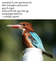 Pin By Aranganayagi Arasan On Tamil Poems Animals Poems Bird