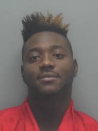 Lee County Arrests 1/11