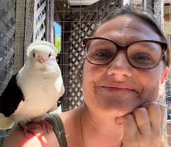 Pre Fire pictures of DeCarlo and Heppner lofts in Gilroy California