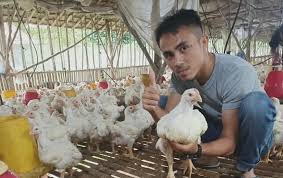 Terbukti masyarakat tetap membeli daging ayam walaupun jumlah pembeliannya dikurangi. Harga Ayam Ras Anjlok Peternak Mandiri Di Way Kanan Dan Lampung Utara Merugi