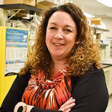 EKG Life Science Solutions