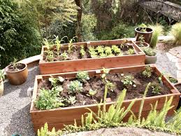 Make sure to consider whether you need to access all four. How To Create A Raised Garden Bed For Growing Veggies