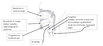 Kreft i nedre del av svelget gir i tidlige faser få symptomer. Klumpfornemmelse I Hals Fornemmelse Af Slim I Hals