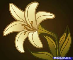 How To Draw An Easter Flower Easter Lily Flower Drawing Easter Lily Lily Painting