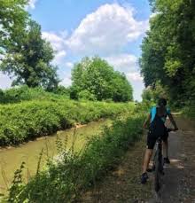 Criteri di base, errori nel calcolo dei macro, carboidrati. Alimentazione Per Lo Sport Ciclismo E Mountain Bike Forloni Nutrizionista