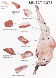 Alibaba.com offers a plethora of halal camel meat australia options so you can also save money on your next purchase. Australian Red Meat