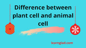 We did not find results for: Difference Between Plant Cell And Animal Cell Learn Glad
