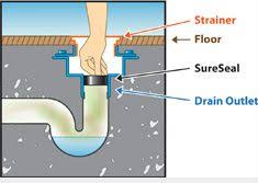 Sureseal Floor Drain Trap Sealer Floor Drains Shower Drain Basement Flooring