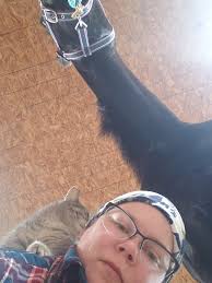 Which of the horsey apps (Hippovibe, Equilab, etc) do you like and why? I  want to know what's out there before I pay for yet another subscription. If  there's already a post