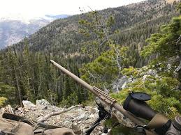 You'll be sure to find great accessories through eurooptic's catalog. Razor Hd Gen Ii 4 5 27x56