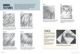 Drawing poses sometimes is a very difficult thing to do. Drawing Cats Kittens Learn To Draw Step By Step How To Draw Paint Smith Cindy Stacey Nolon Tavonatti Mia 9781633225787 Amazon Com Books