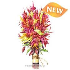 Pin On 2019 New Varieties