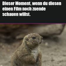 Besten bilder, videos und sprüche und es kommen täglich neue lustige facebook bilder auf debeste.de. 1001 Lustige Bilder Zum Totlachen Die Die Stimmung Verbessern